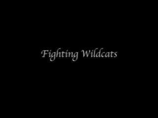 video by catfight