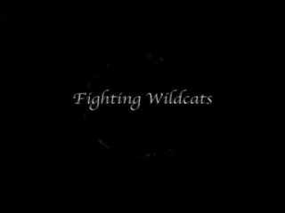 video by catfight