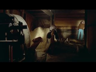video by sergey obraztsov
